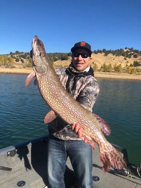 Northern Pike on in scenic Colorado!